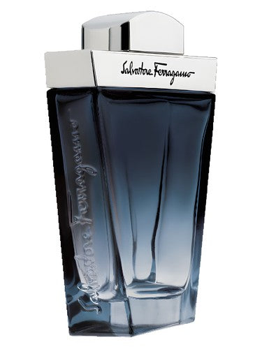 Salvatore Ferragamo Subtil Pour Homme 100ml Caballero