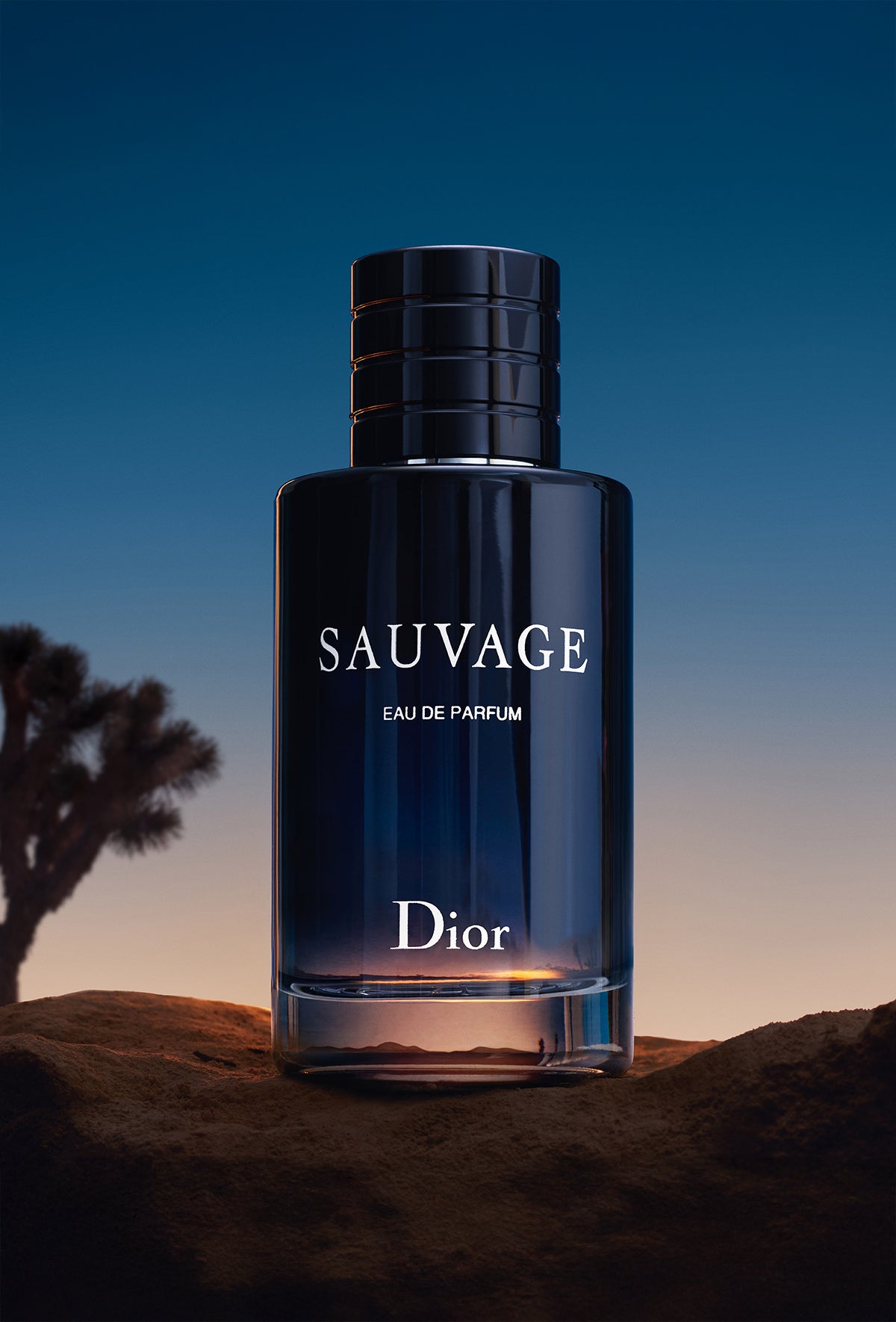 Sauvage Eau de Parfum Dior 100ml y 200ml Caballero