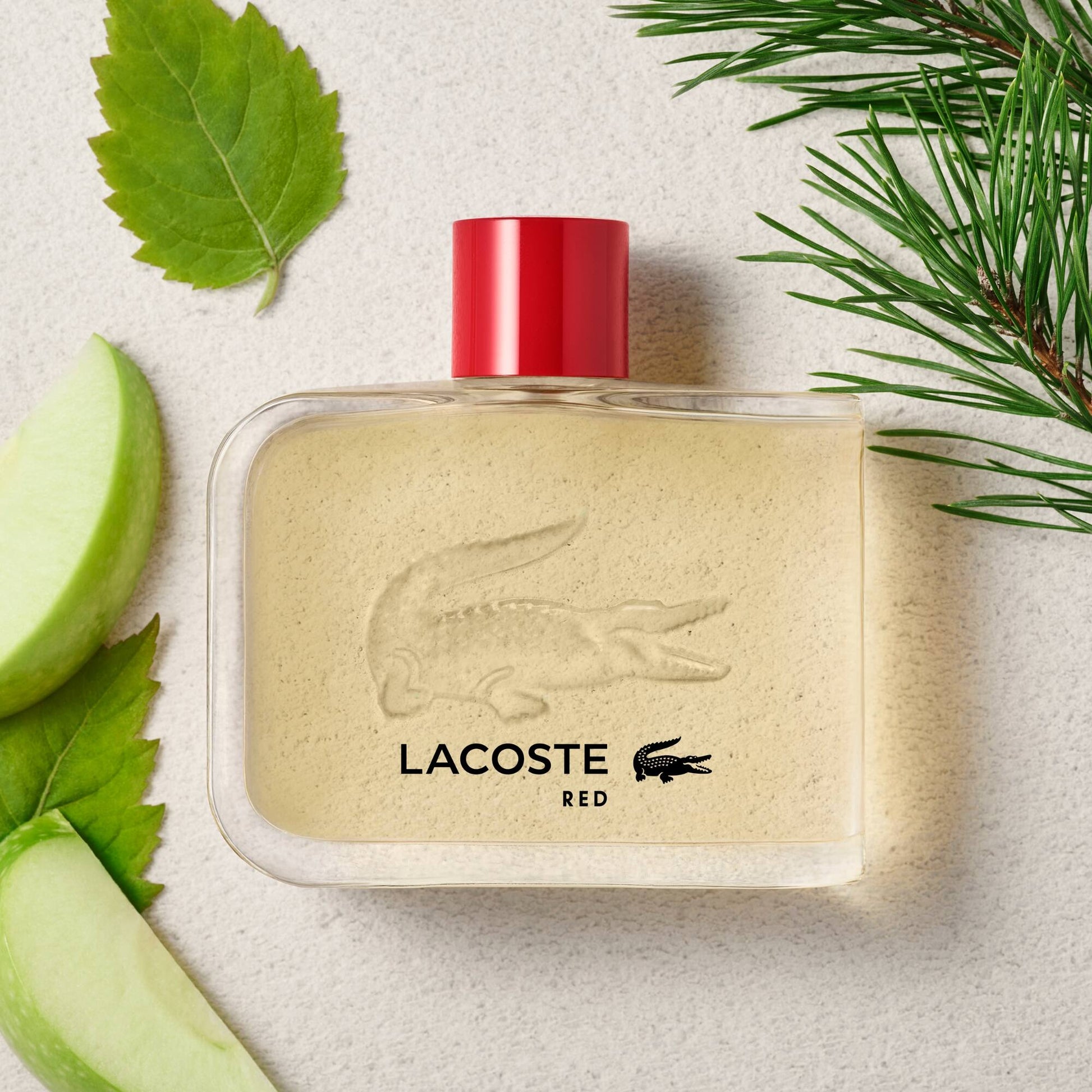 Red – Lacoste Fragrances 125ml Caballero