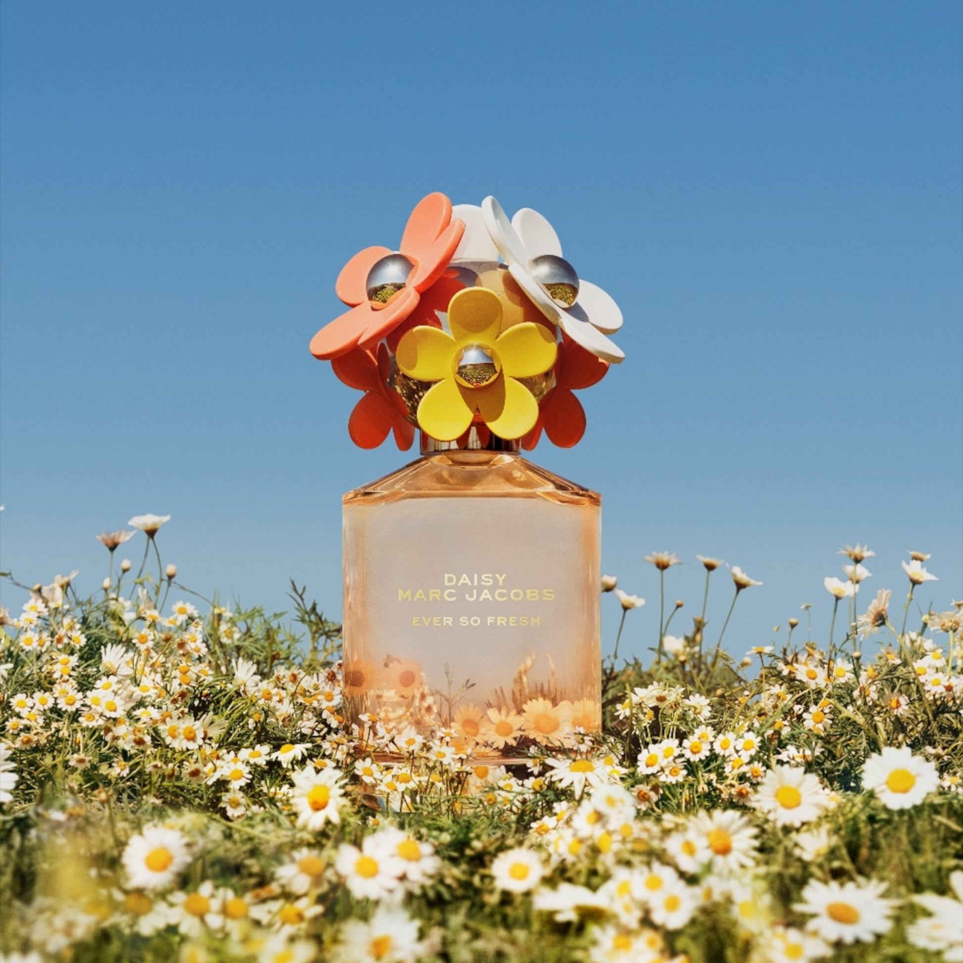 Daisy Ever So Fresh Marc Jacobs