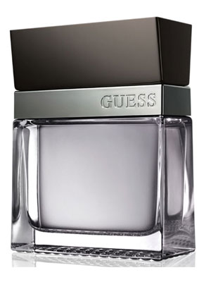 Guess Seductive Homme Guess 100ml Caballero